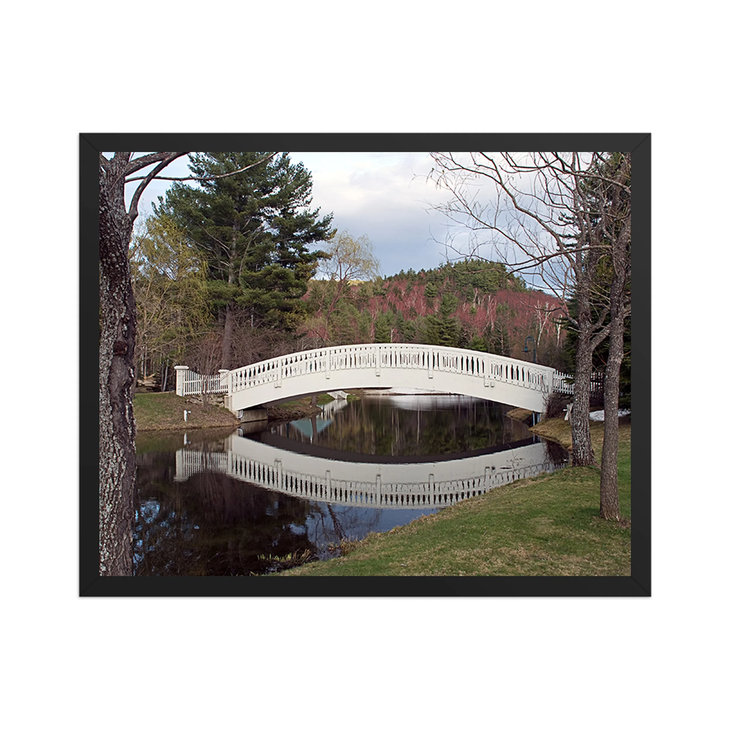 FOOT BRIDGE - Symmetry in Nature