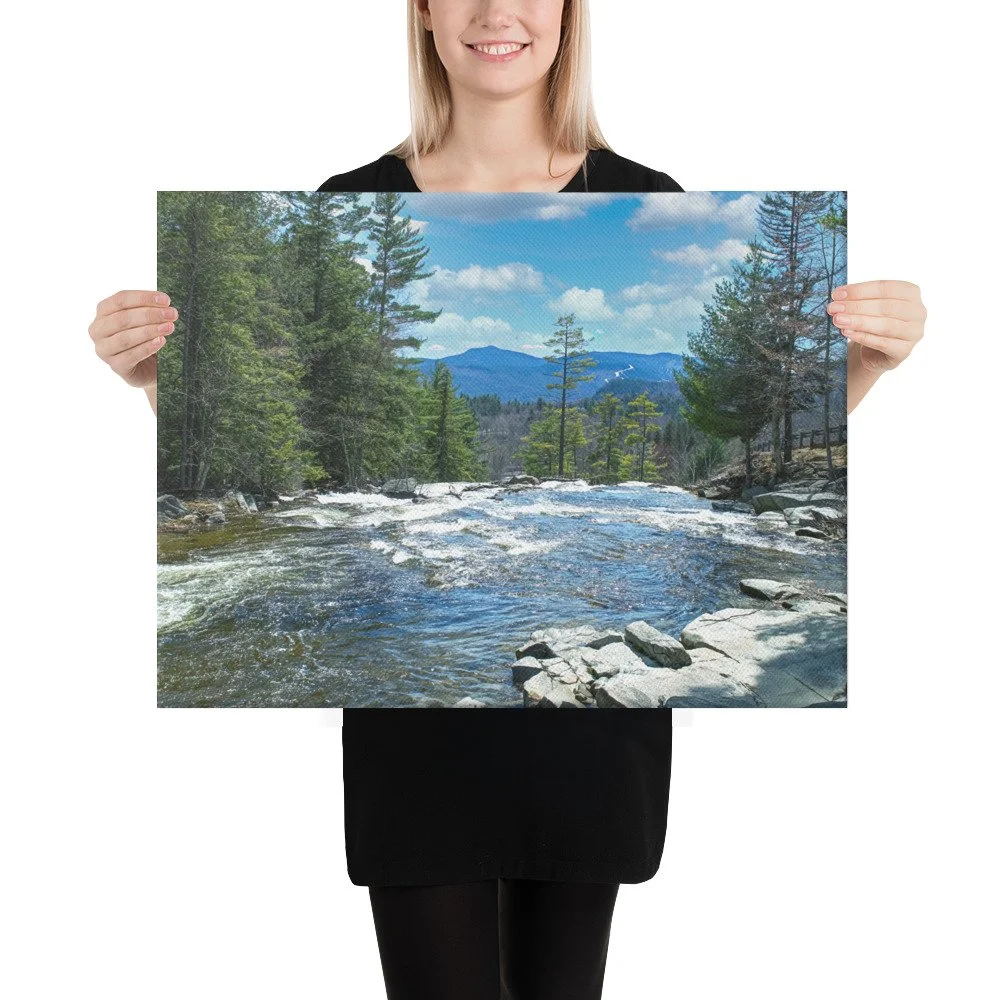 canvas-(in)-18x24-person-69db84e5e9f69.jpg