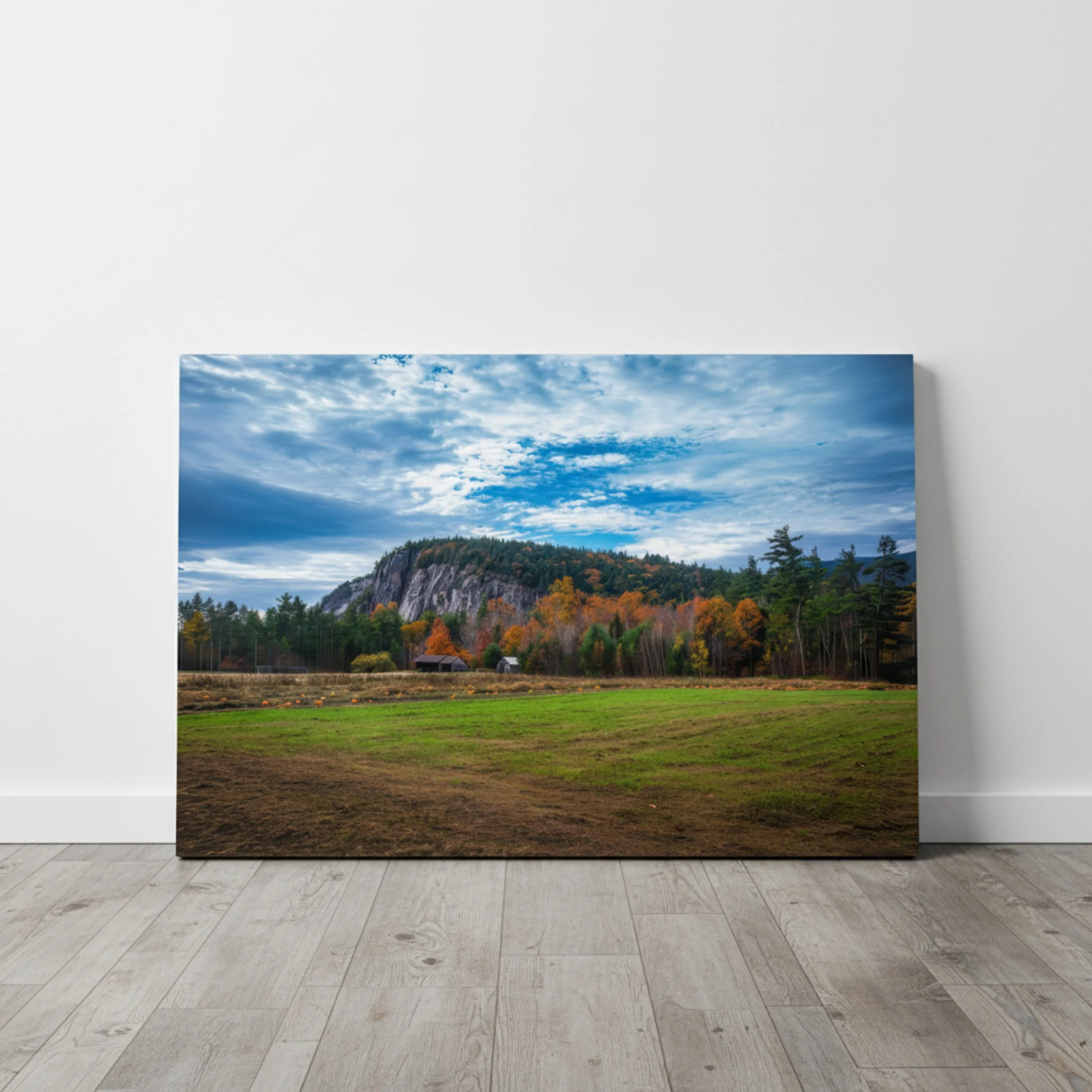 Echo Lake Farm - Metal - Hero.jpg