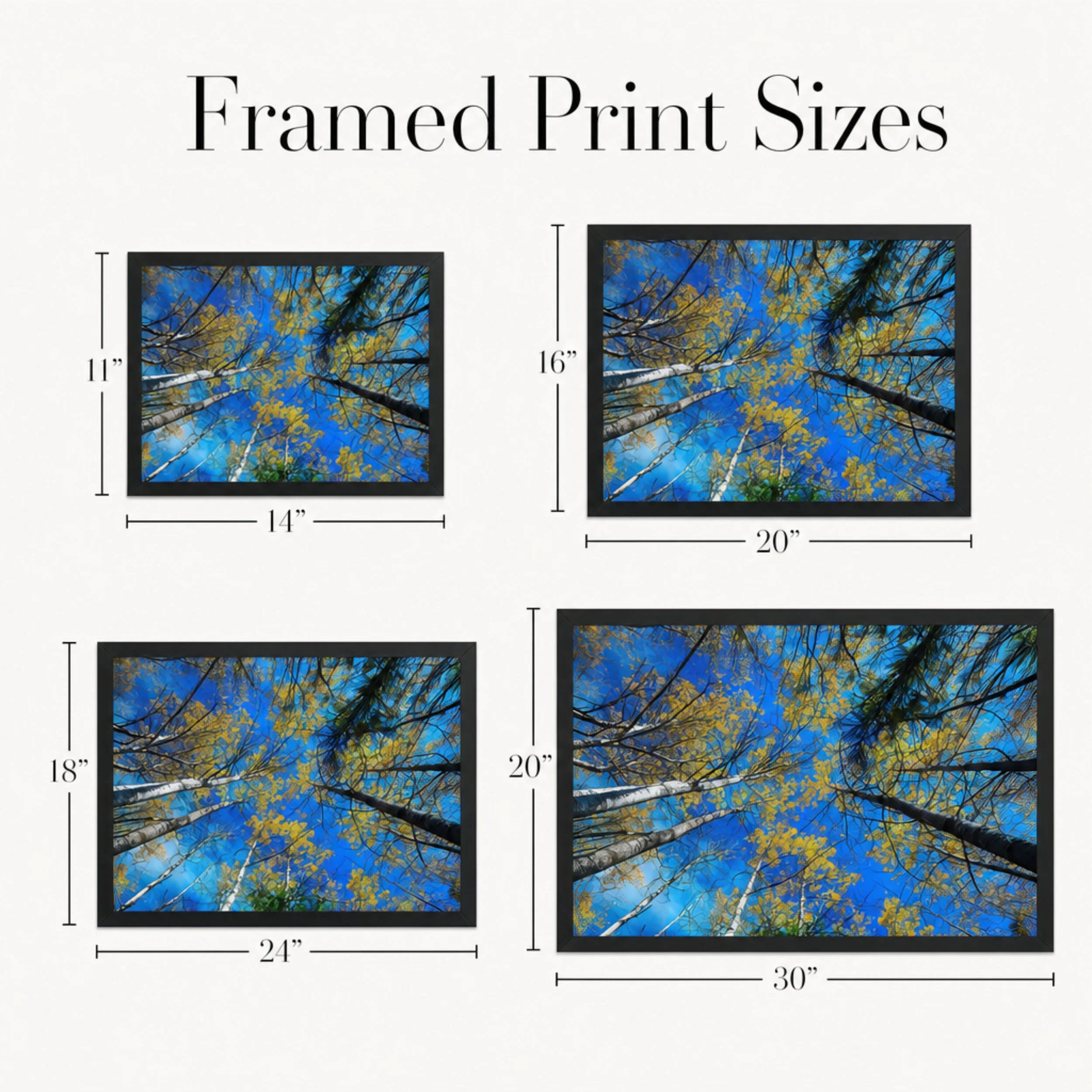 Birches in Autumn - Framed Landscape Sizes.jpg