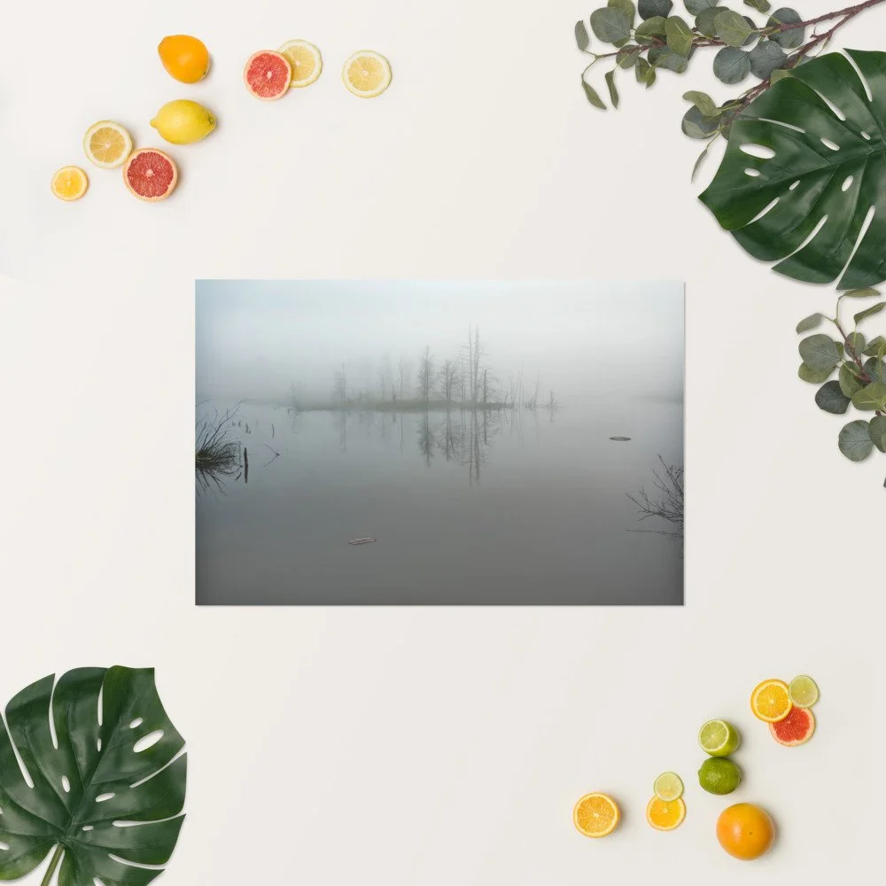 enhanced-matte-paper-poster-(in)-20x30-springsummer-69cc0a4fec2df.jpg