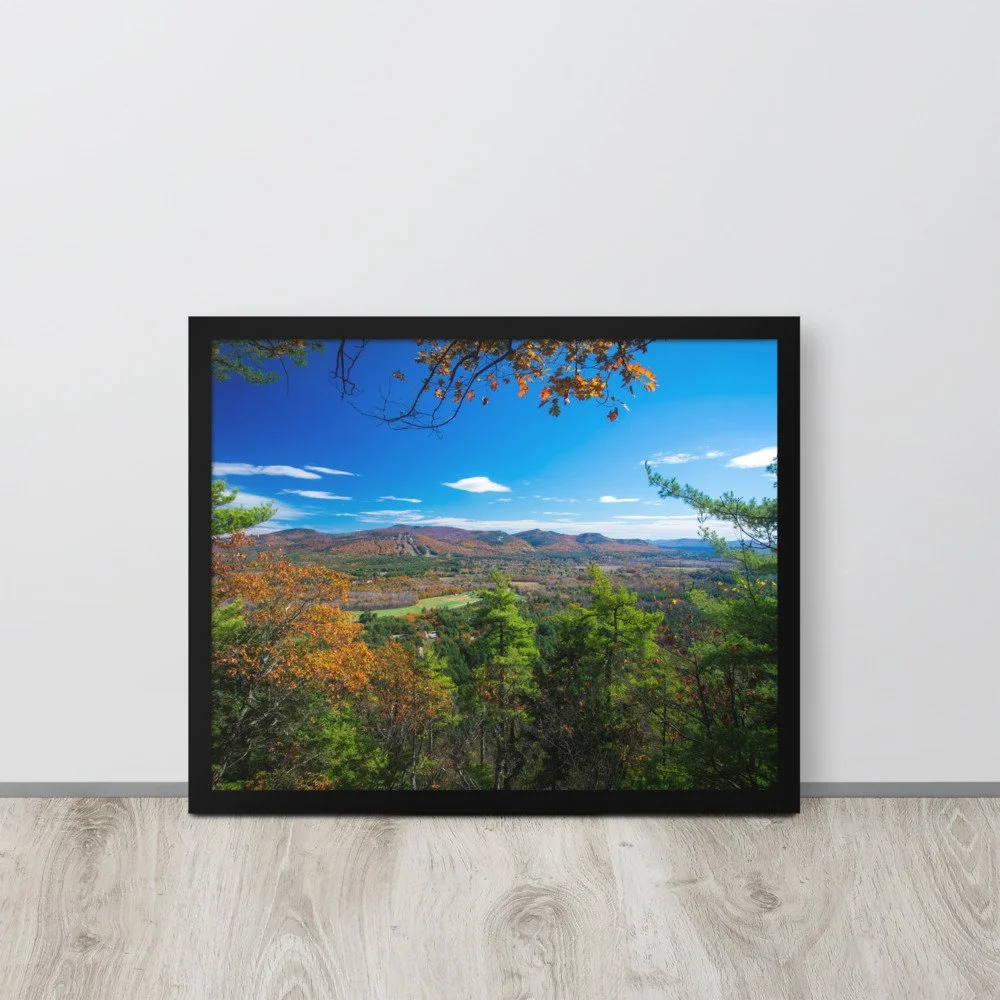 enhanced-matte-paper-framed-poster-(in)-black-16x20-front-69da498177845.jpg