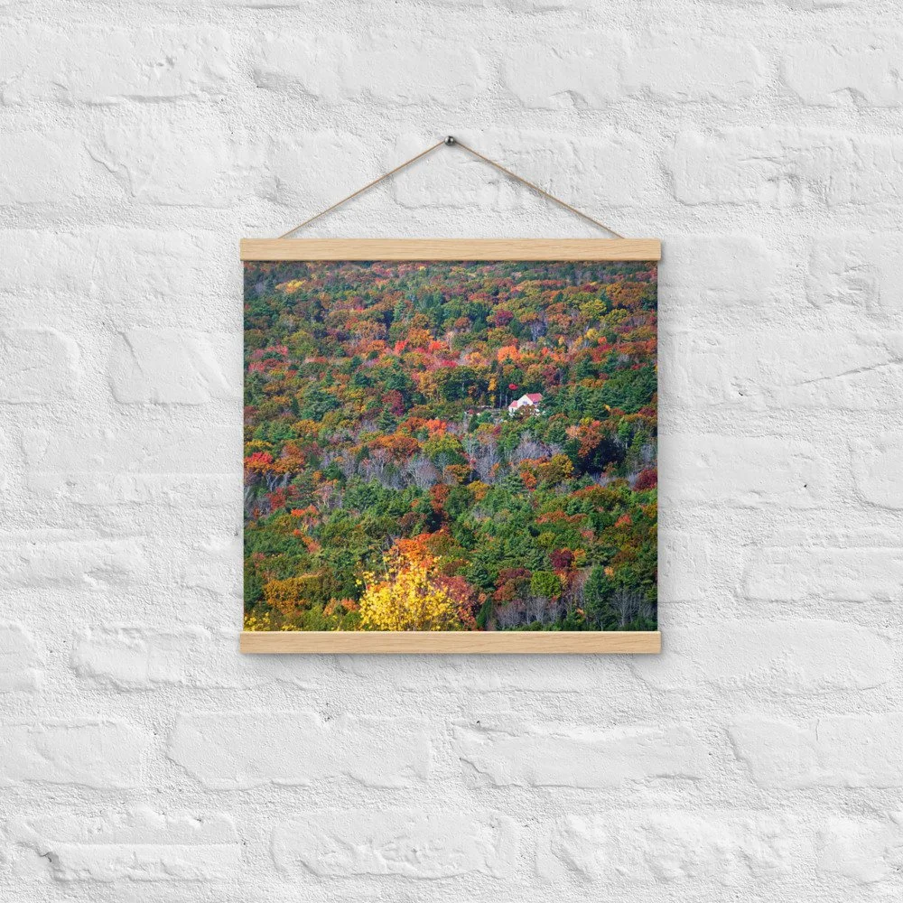 enhanced-matte-paper-poster-with-hanger-(in)-oak-16x16-front-69d953fb5de95.jpg