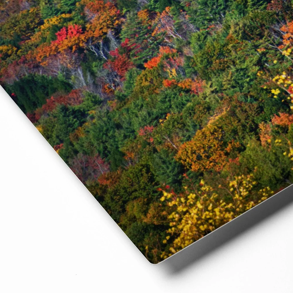 glossy-metal-print-(in)-white-16x20-product-details-69d95490c2f76.jpg