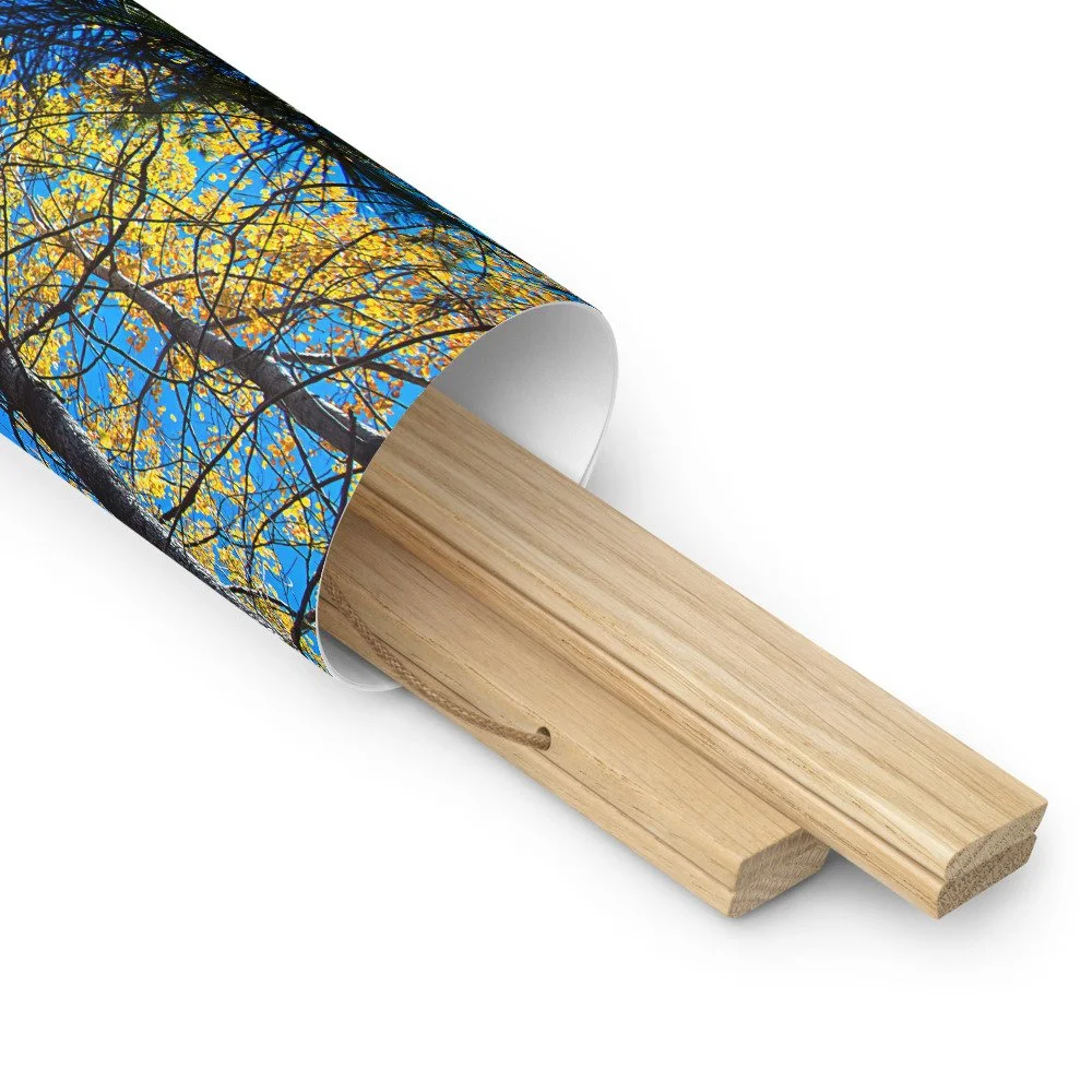 enhanced-matte-paper-poster-with-hanger-(in)-oak-16x16-product-details-2-69d793abbd586.jpg