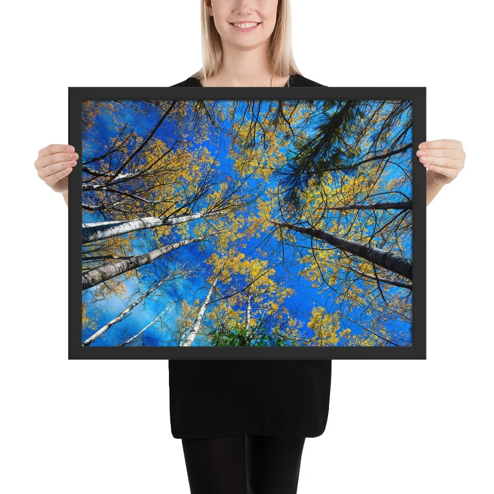 enhanced-matte-paper-framed-poster-(in)-black-18x24-person-69d793da59f39.jpg