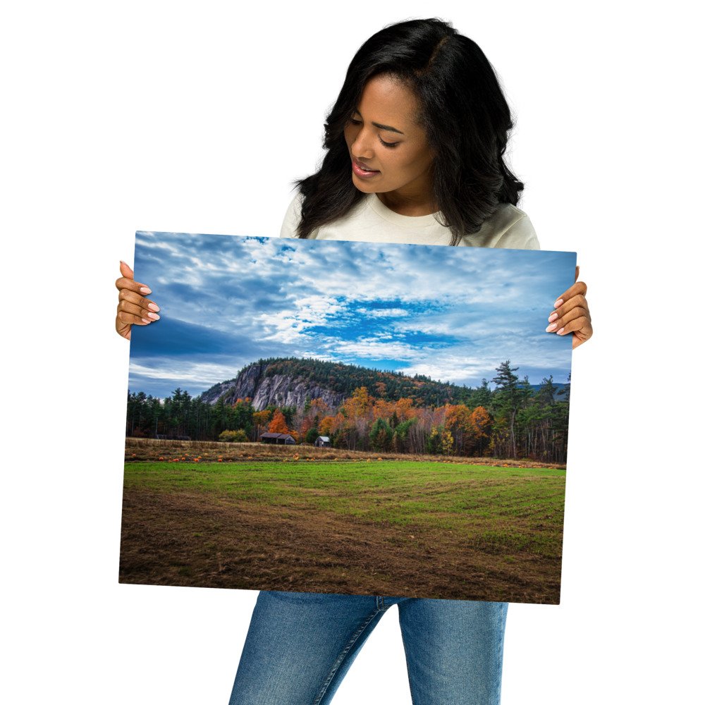 glossy-metal-print-(in)-white-16x20-front-69d51be0afa18.jpg