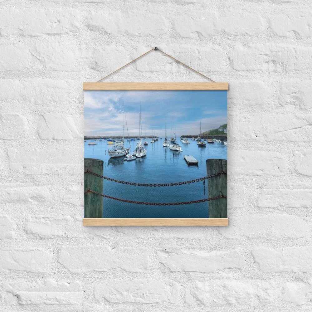enhanced-matte-paper-poster-with-hanger-(in)-oak-16x16-front-69cab194d98d9.jpg