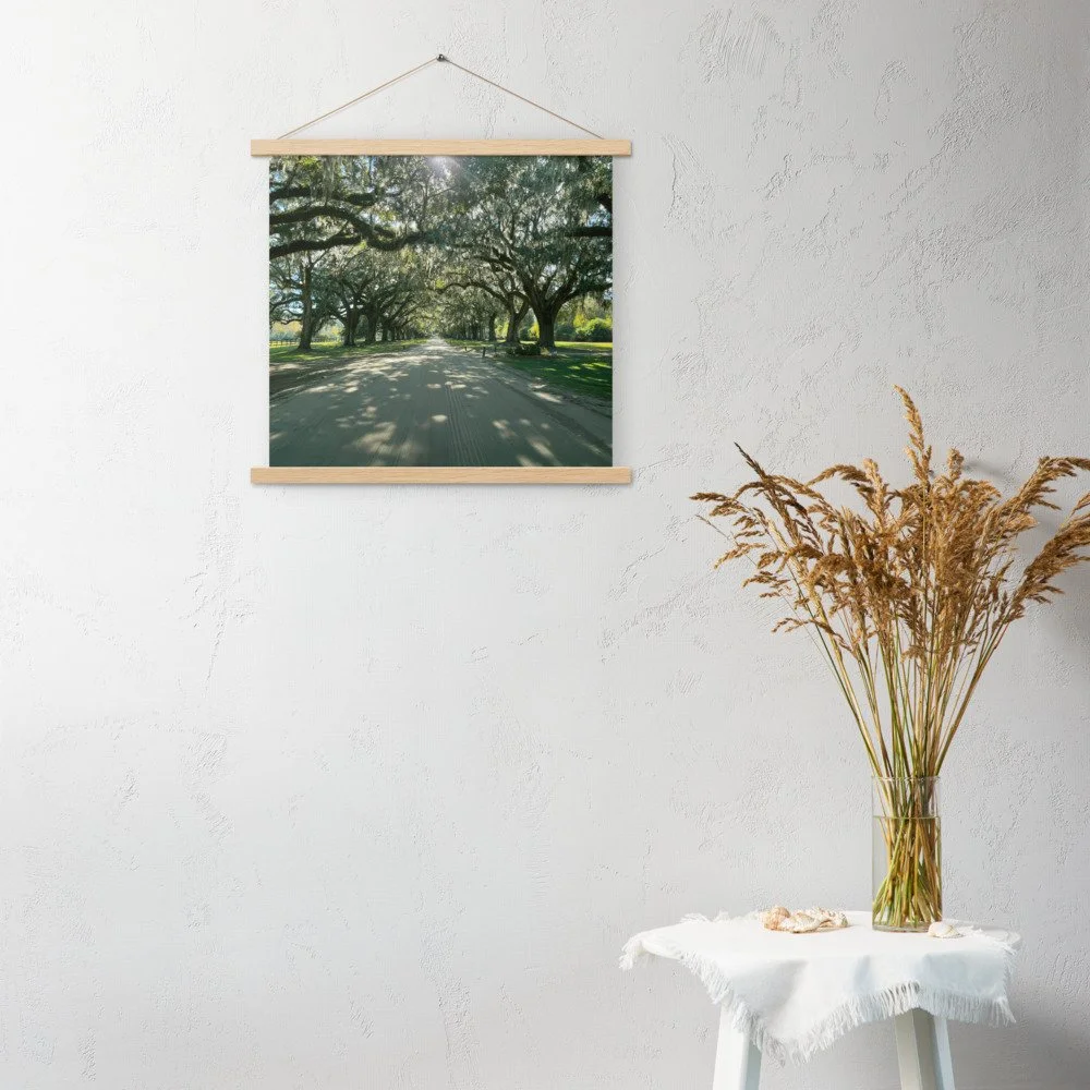 enhanced-matte-paper-poster-with-hanger-(in)-oak-18x18-front-69c93a563d43b.jpg