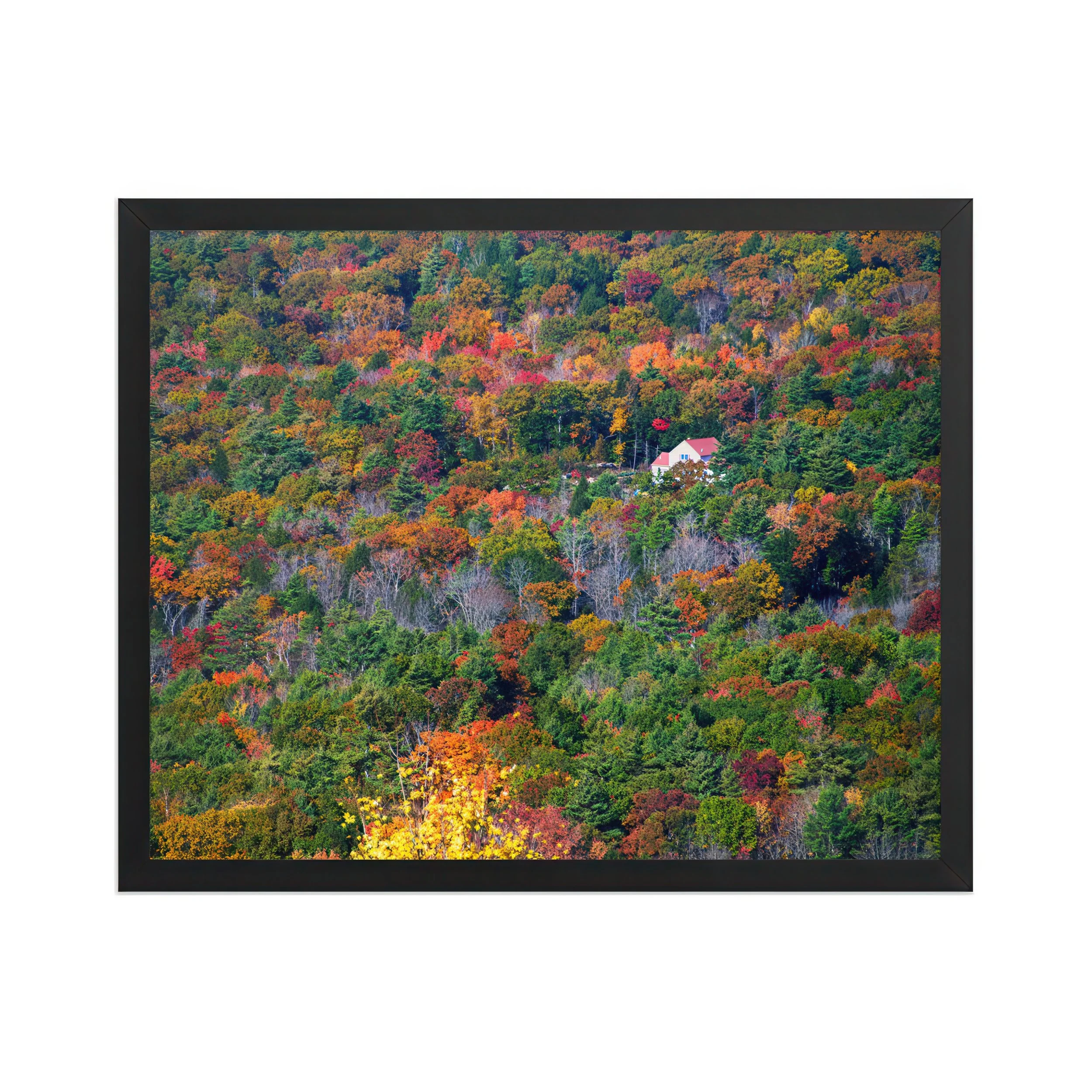 HIDDEN AUTUMN COTTAGE - The Quiet Retreat