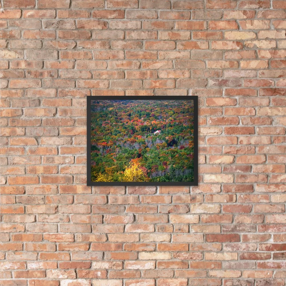 enhanced-matte-paper-framed-poster-(in)-black-16x20-lifestyle-4-69d954bf58c72.jpg