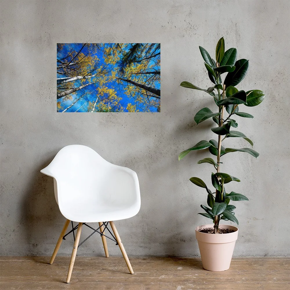enhanced-matte-paper-poster-(in)-20x30-lifestyle-1-69d7937aa3125.jpg