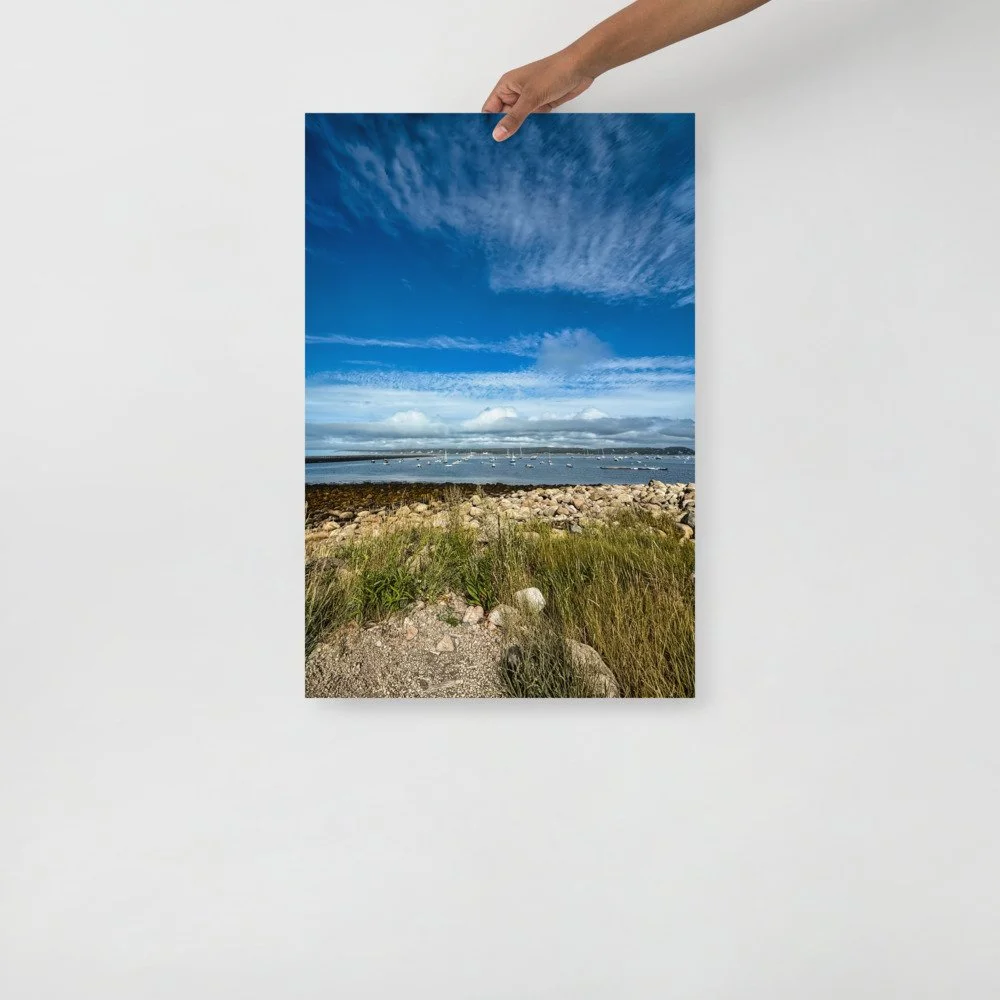 enhanced-matte-paper-poster-(in)-20x30-front-69d3b10cbe6a8.jpg