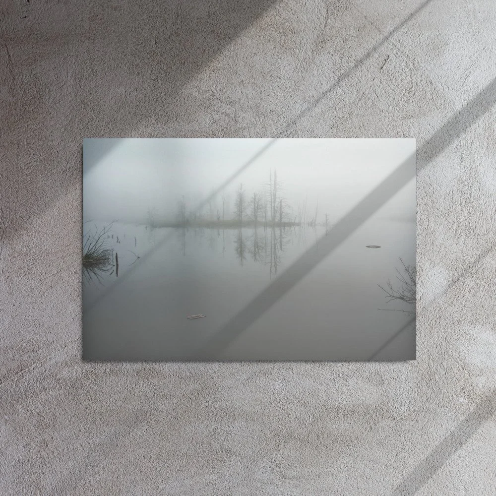 glossy-metal-print-(in)-white-20x30-front-69cc0a85c0e1a.jpg