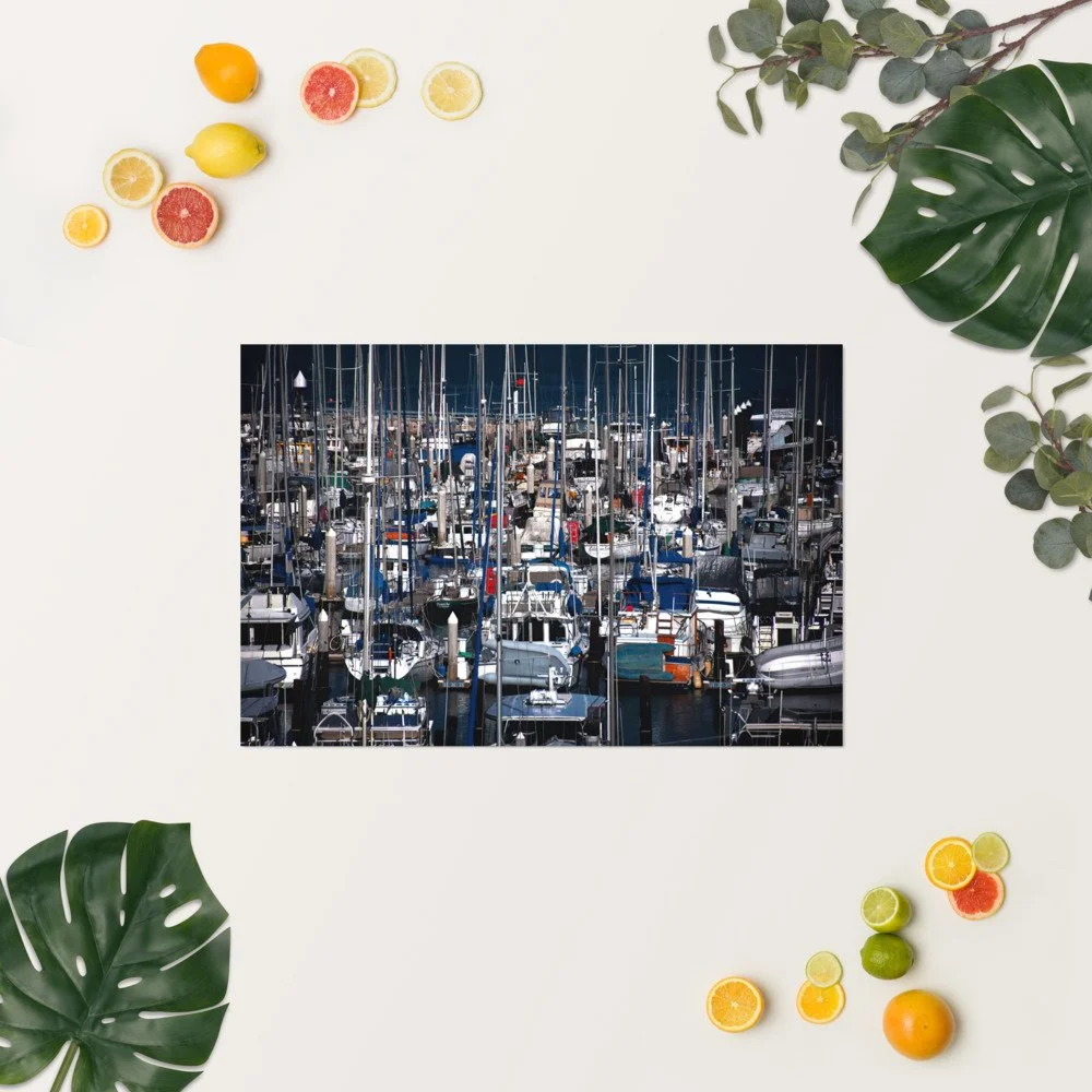 enhanced-matte-paper-poster-(in)-20x30-springsummer-69d401526155c.jpg