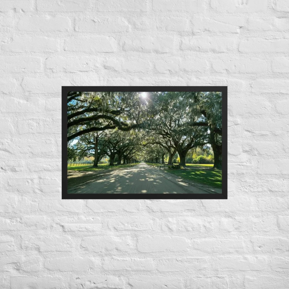 enhanced-matte-paper-framed-poster-(in)-black-20x30-front-69c9399ccbe49.jpg