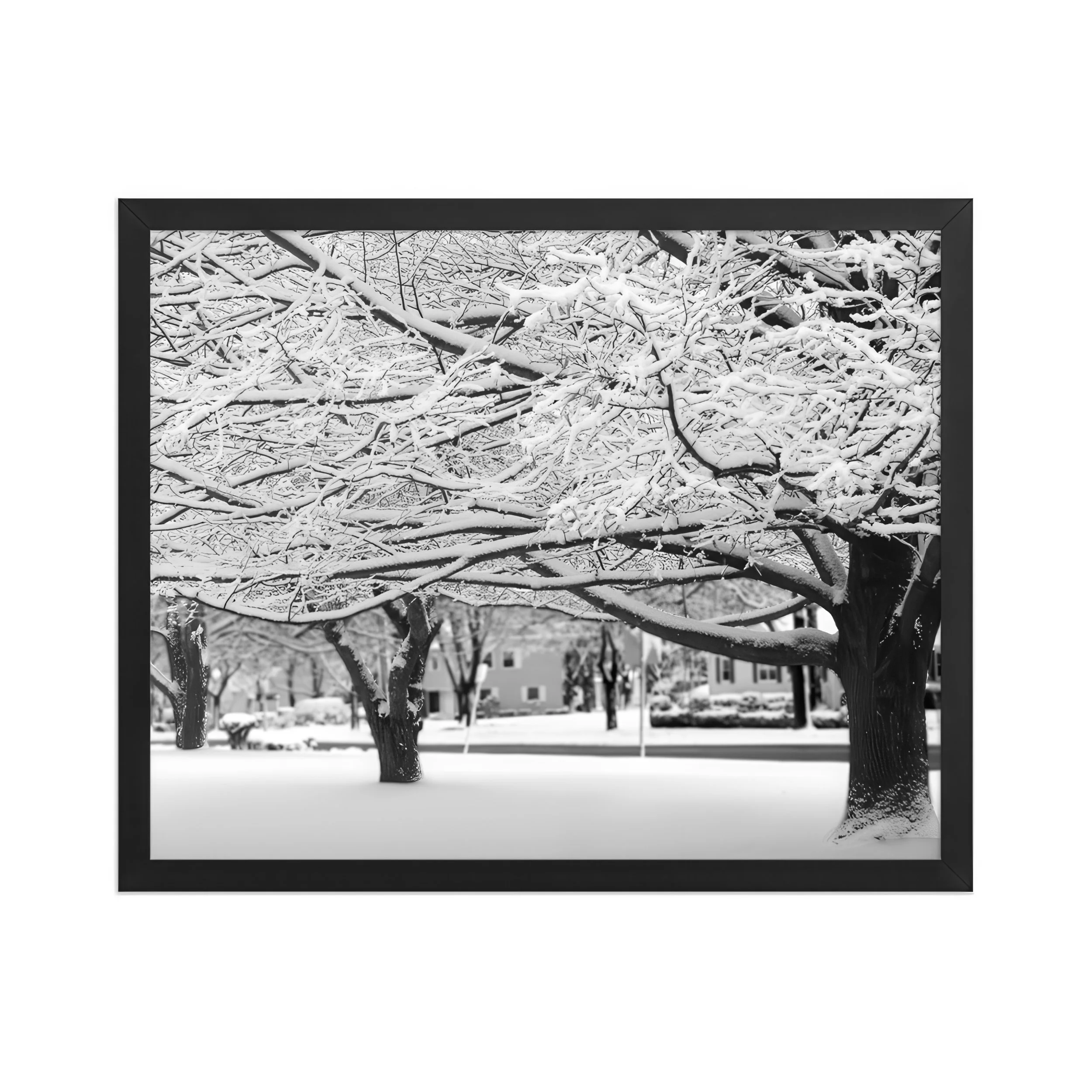 SNOW TREES - Winter Silence