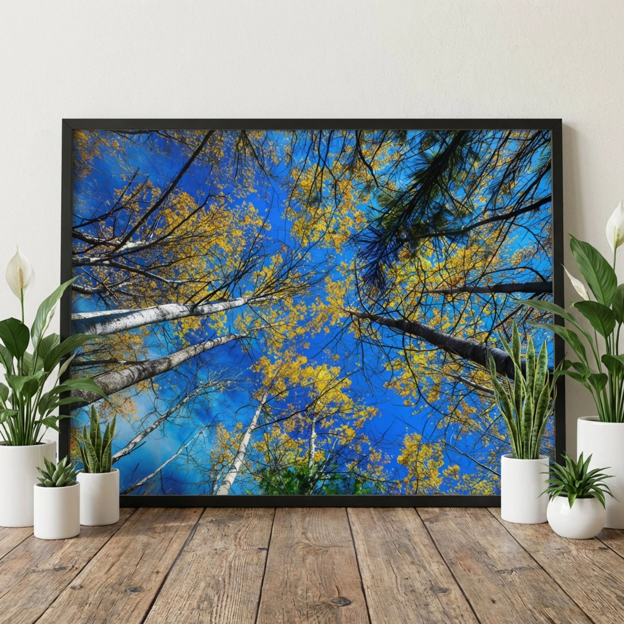 Birches in Autumn - Framed 5.jpg