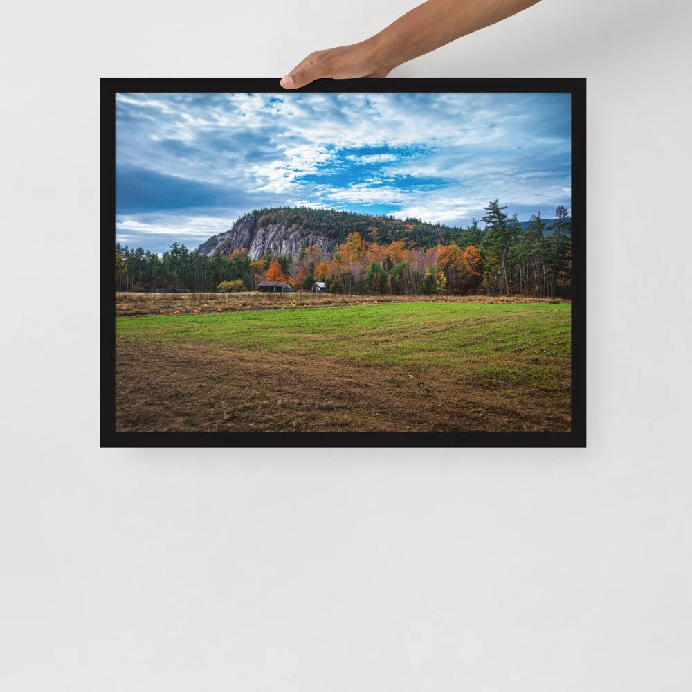 enhanced-matte-paper-framed-poster-(in)-black-18x24-front-69d51bf594b42.jpg
