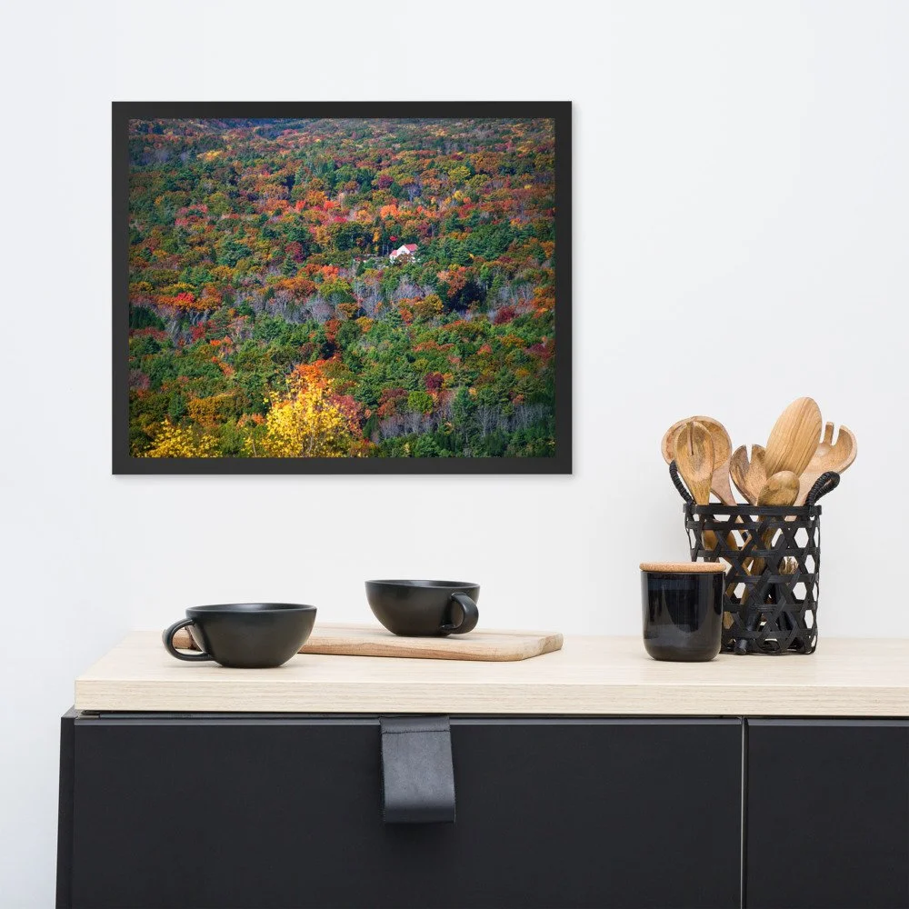 enhanced-matte-paper-framed-poster-(in)-black-16x20-front-69d954bf58d4b.jpg