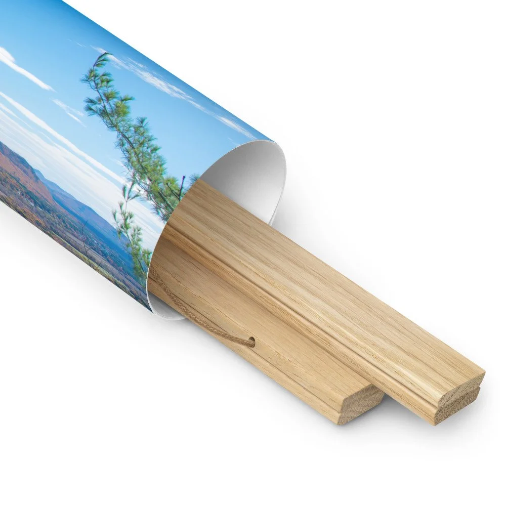 enhanced-matte-paper-poster-with-hanger-(in)-oak-18x18-product-details-2-69da48e9b359f.jpg
