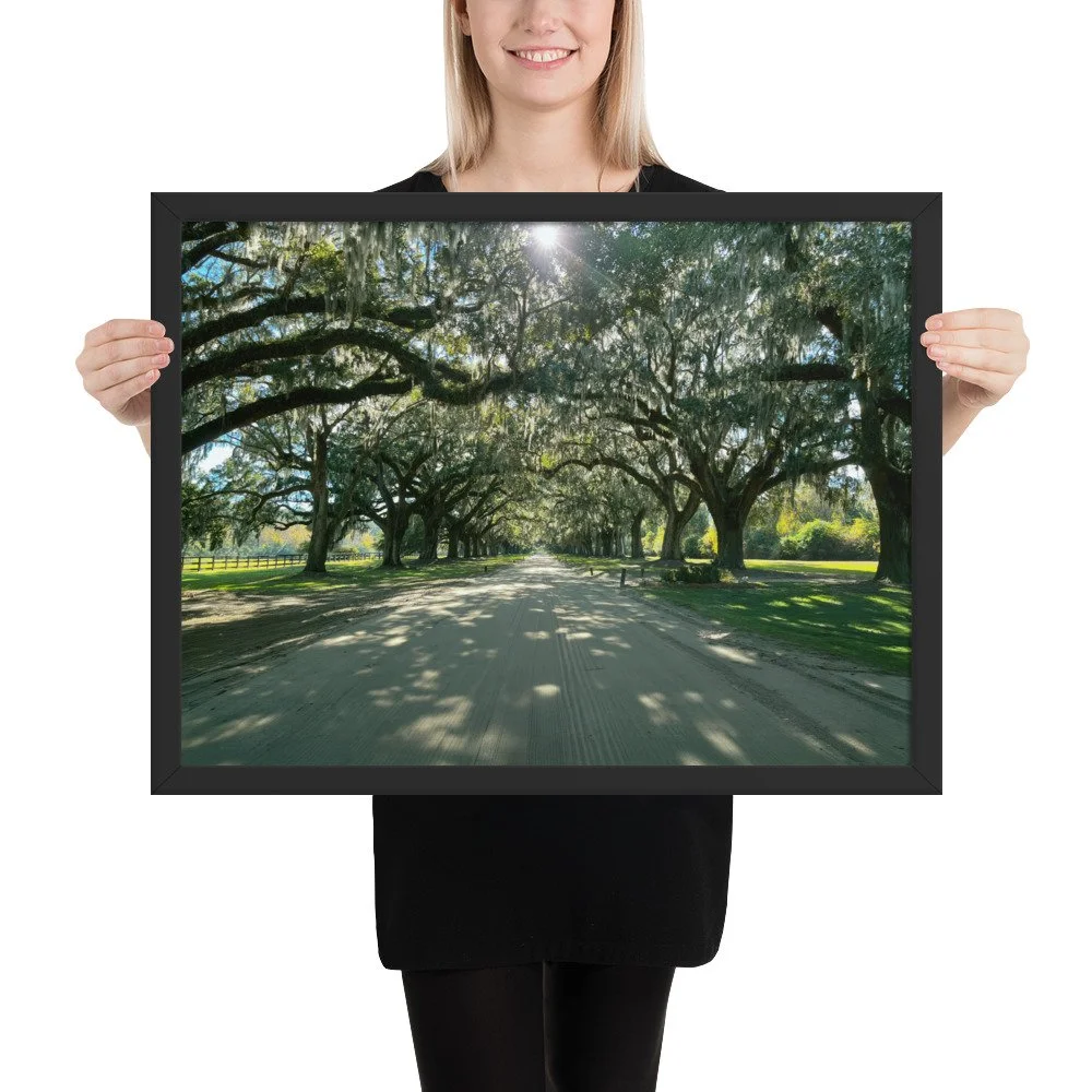 enhanced-matte-paper-framed-poster-(in)-black-18x24-person-69c9399ccbb01.jpg