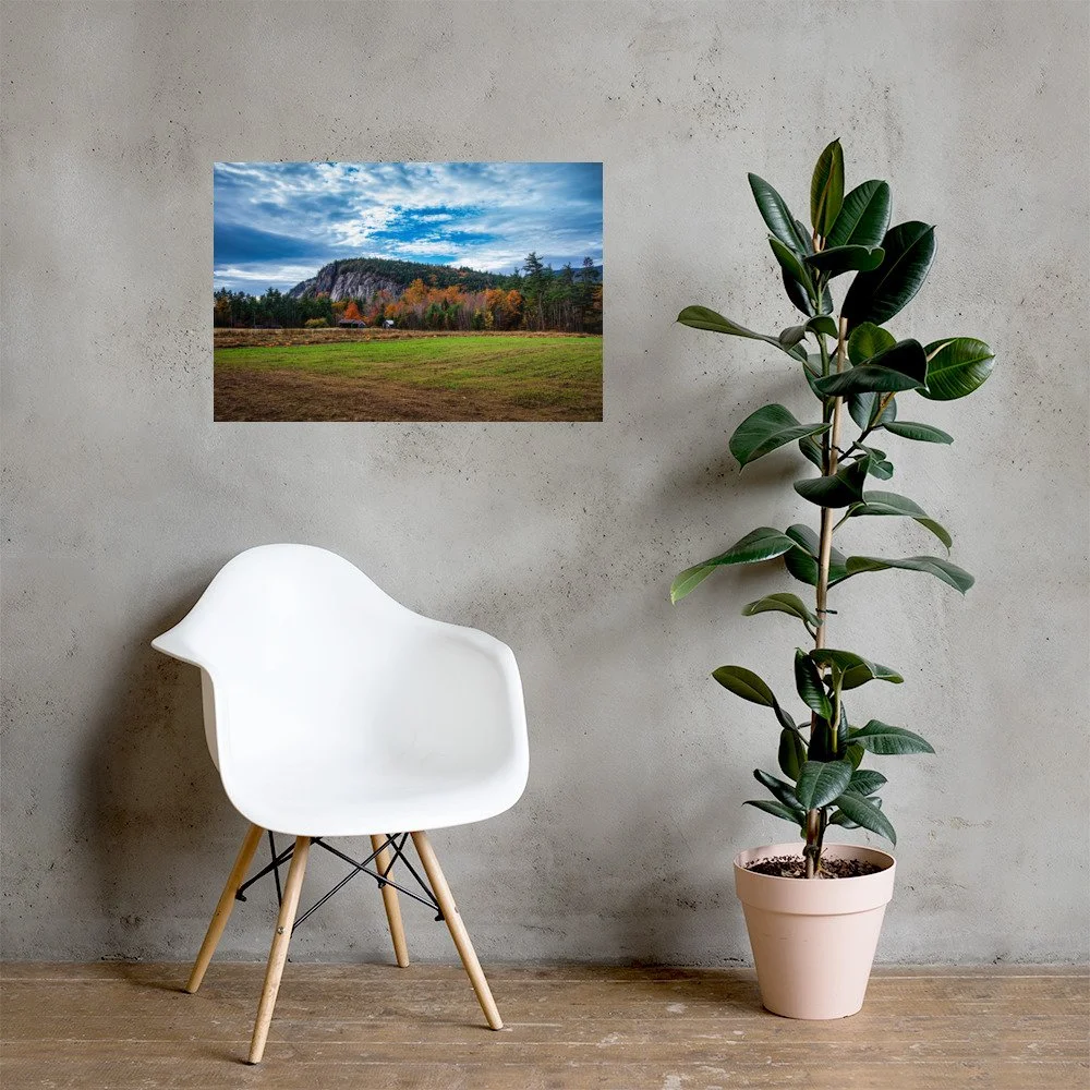 enhanced-matte-paper-poster-(in)-20x30-lifestyle-1-69d51bbb1443f.jpg