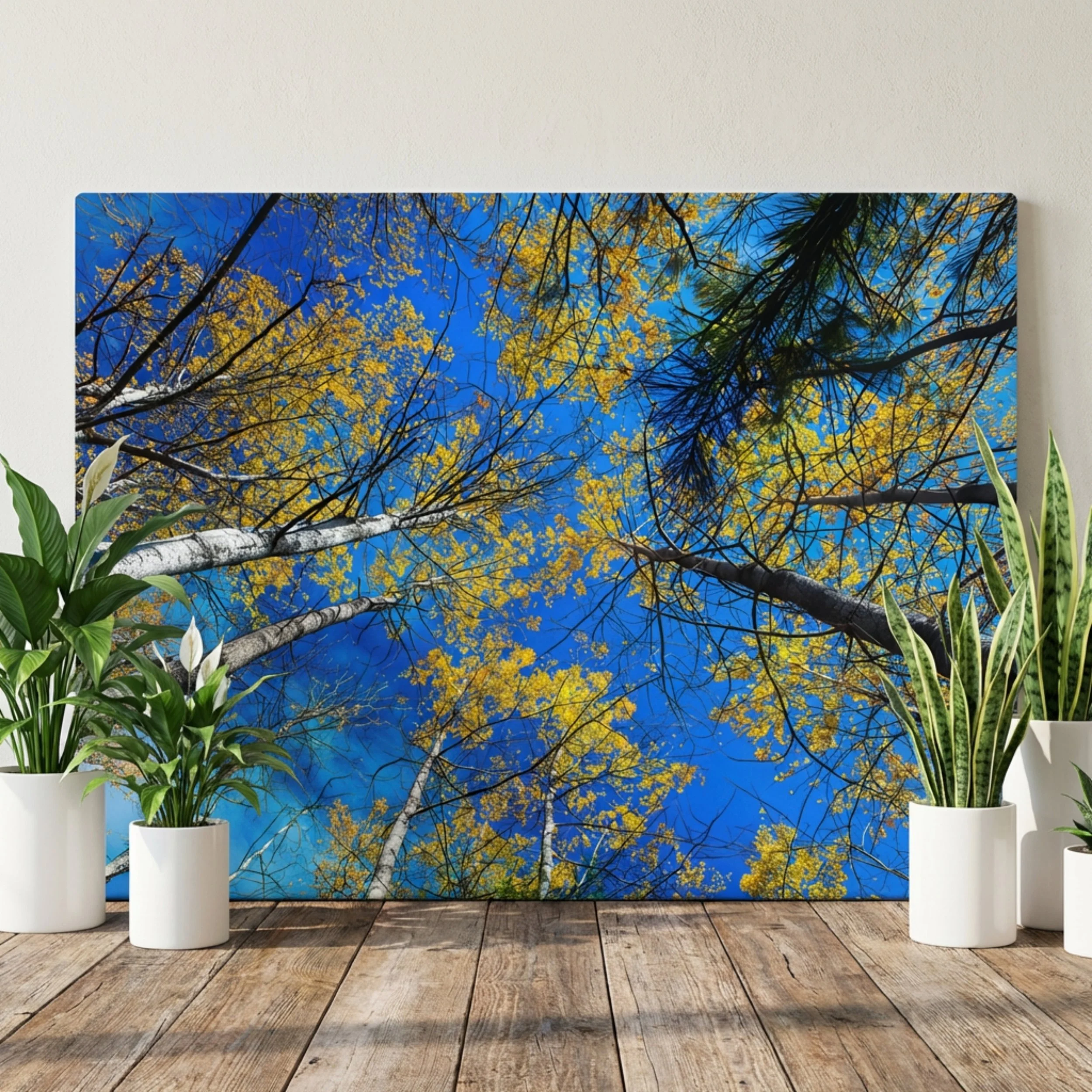 Birches in Autumn - Canvas Print - Autumn Forest Print