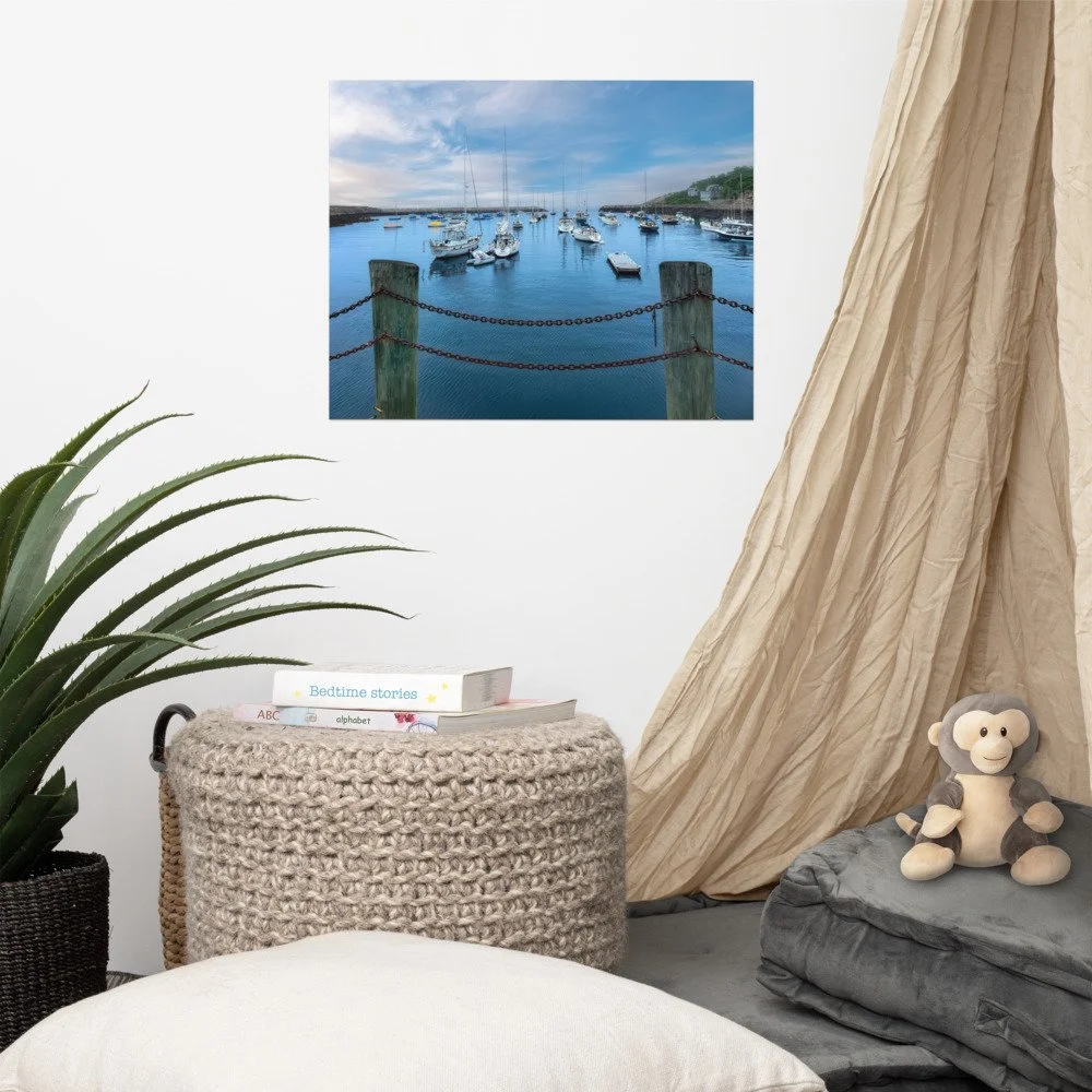enhanced-matte-paper-poster-(in)-16x20-front-69cab14bd1ceb.jpg
