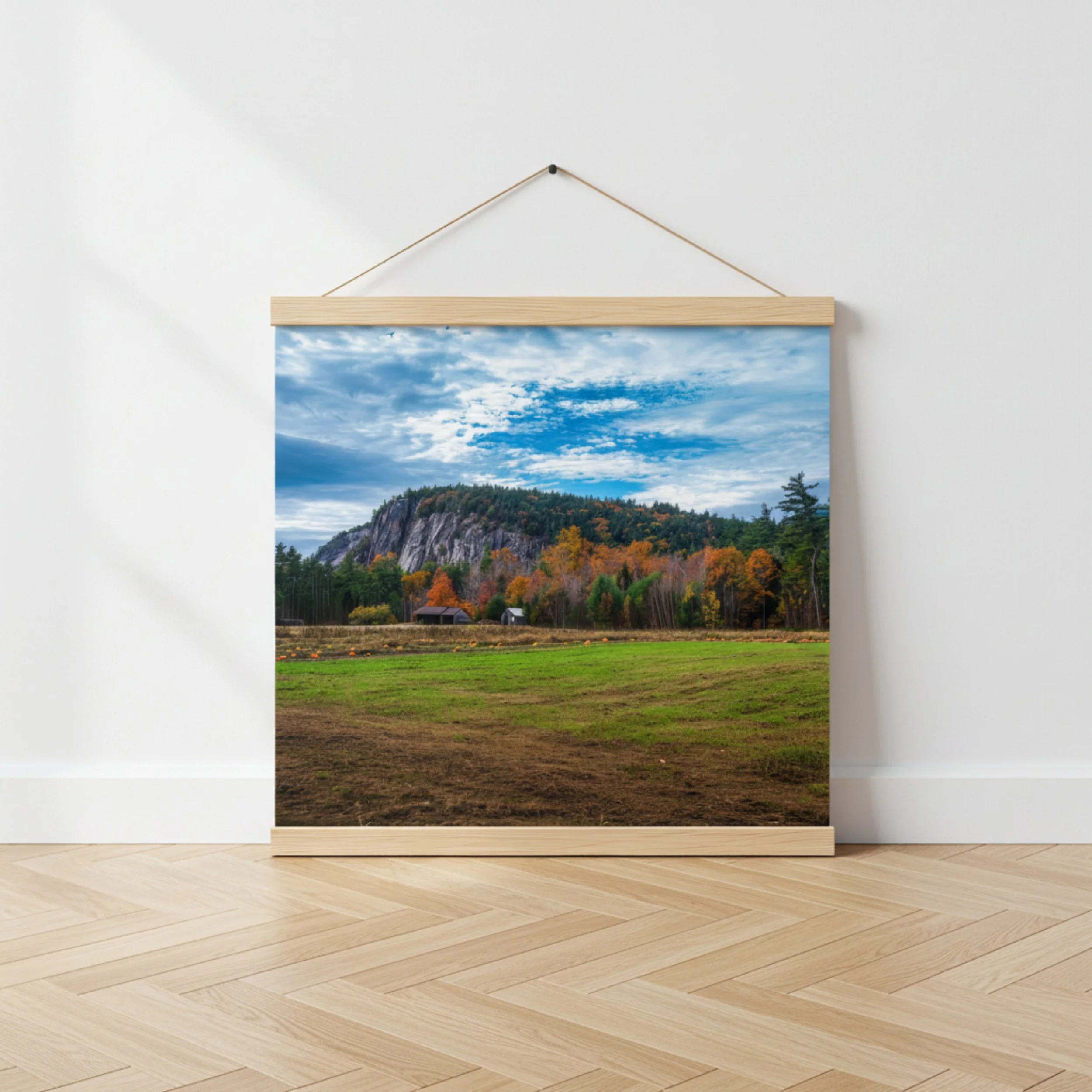 Echo Lake Farm - Poster With Hanger - Hero.jpg