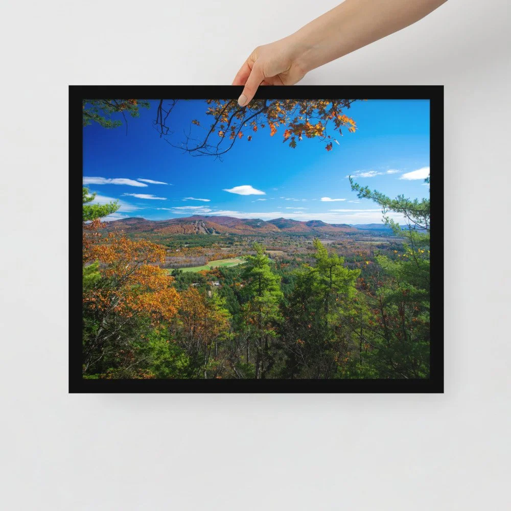 enhanced-matte-paper-framed-poster-(in)-black-16x20-front-69da498177818.jpg
