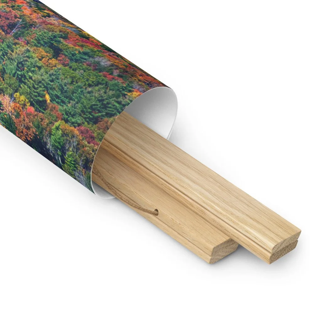enhanced-matte-paper-poster-with-hanger-(in)-oak-18x18-product-details-2-69d953fb5e22f.jpg