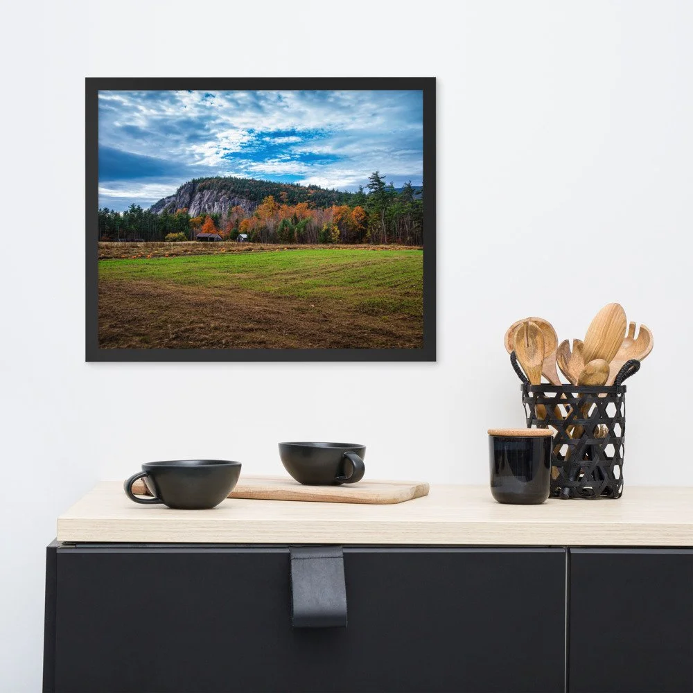 enhanced-matte-paper-framed-poster-(in)-black-16x20-front-69d51bf594349.jpg