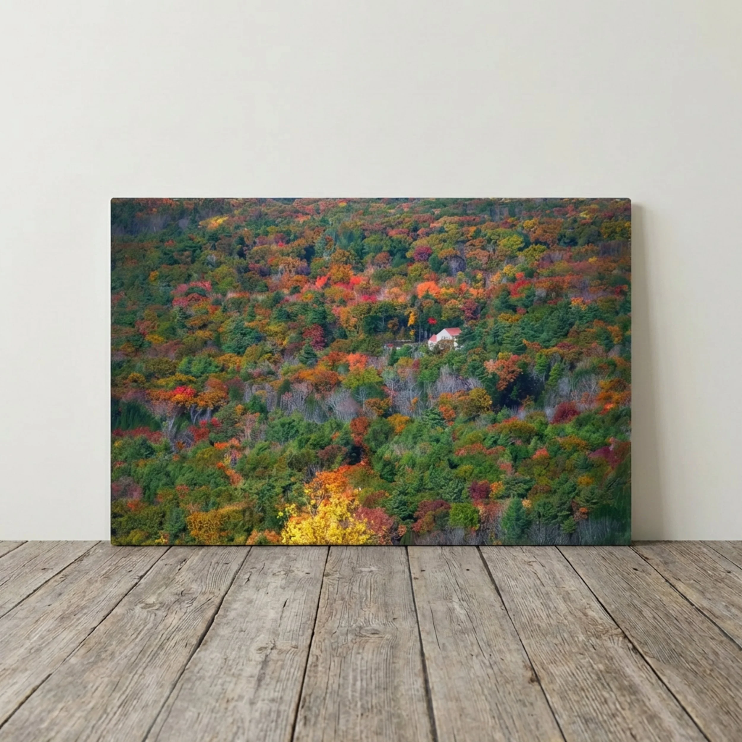 Foliage House - Canvas 2.jpg