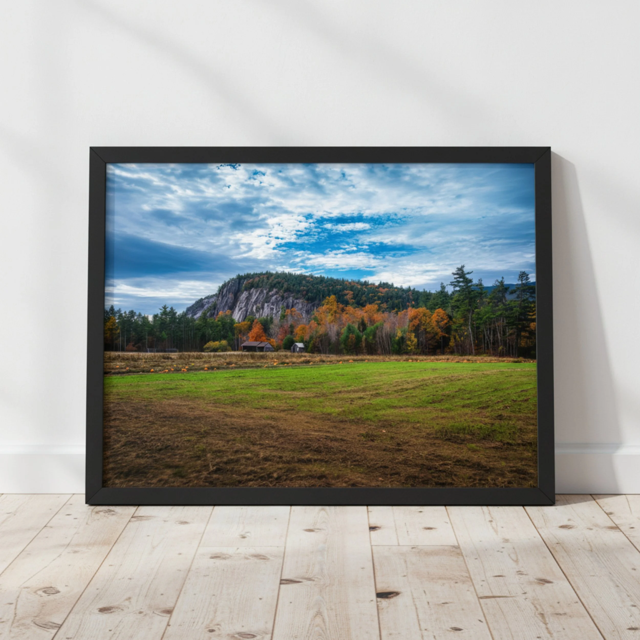 Echo Lake Farm - Framed - Hero.jpg