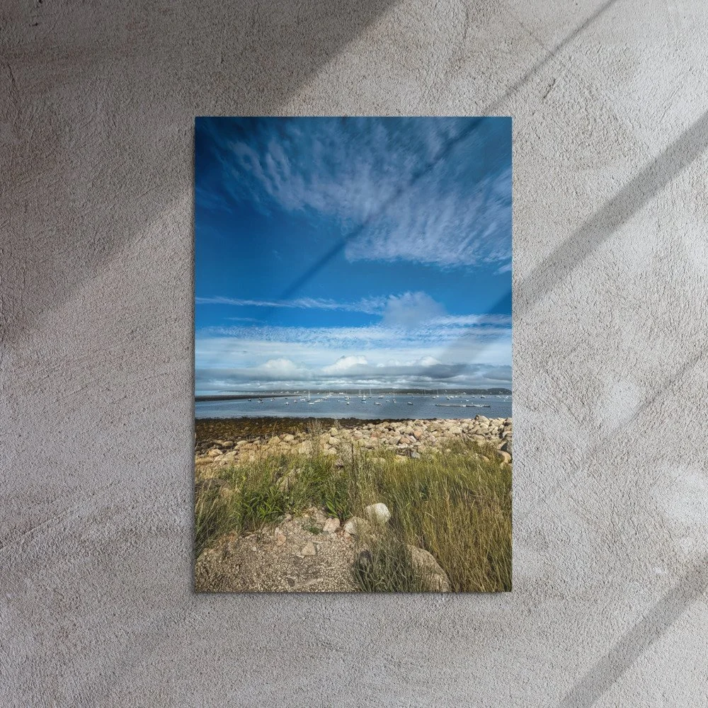 glossy-metal-print-(in)-white-20x30-front-69d3b13328ce5.jpg
