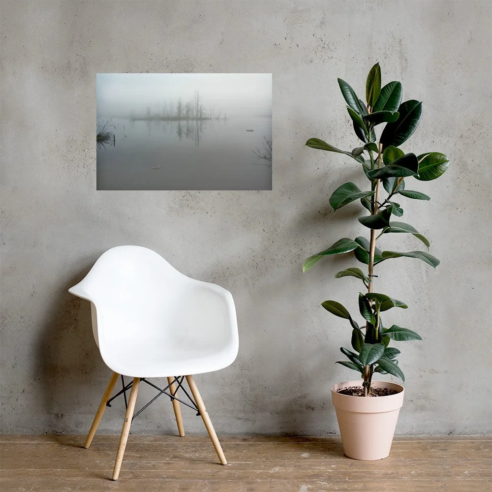 enhanced-matte-paper-poster-(in)-20x30-lifestyle-1-69cc0a4febfd2.jpg