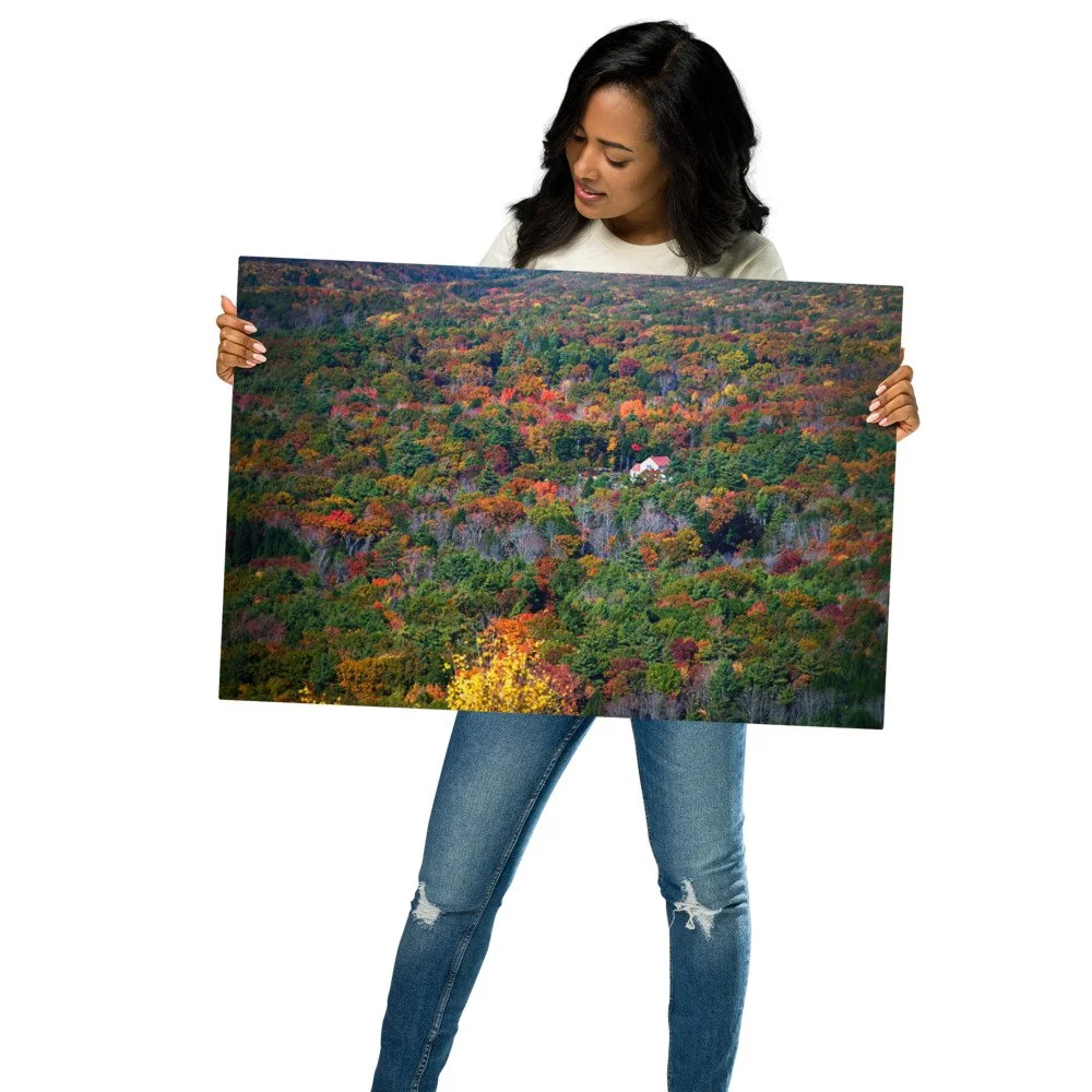 glossy-metal-print-(in)-white-20x30-front-69d95490c3164.jpg