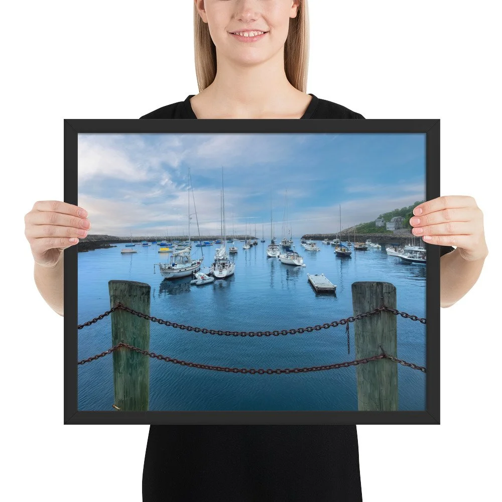 enhanced-matte-paper-framed-poster-(in)-black-16x20-person-69cab0b0c01cd.jpg
