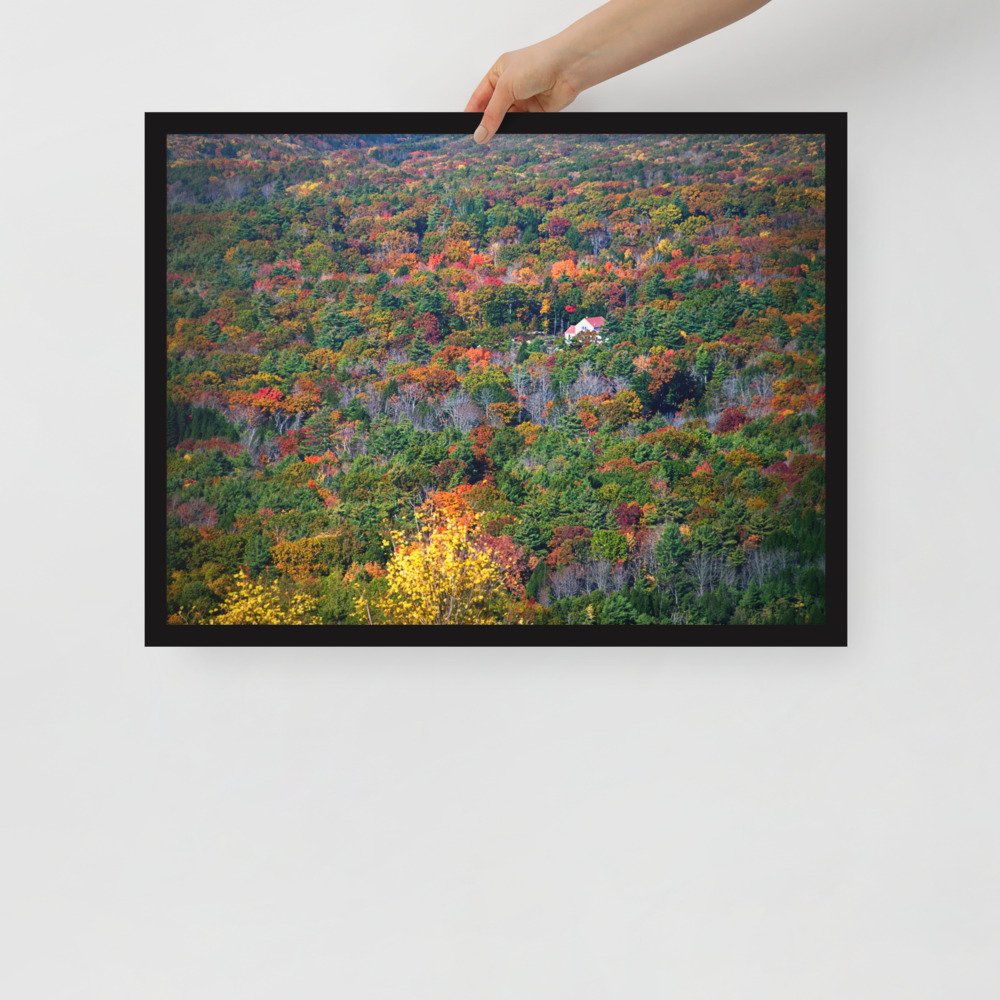 enhanced-matte-paper-framed-poster-(in)-black-18x24-front-69d954bf591a1.jpg