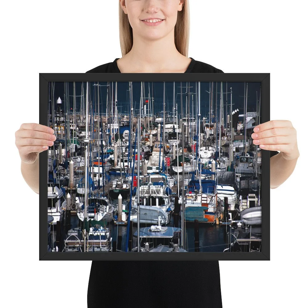 enhanced-matte-paper-framed-poster-(in)-black-16x20-person-69d401ba46d52.jpg