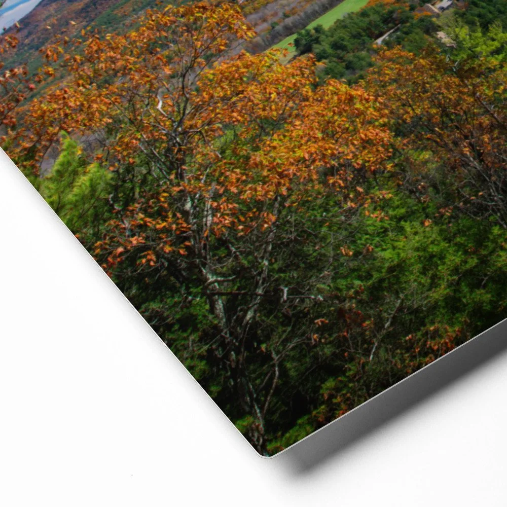 glossy-metal-print-(in)-white-16x20-product-details-69da495b1e758.jpg