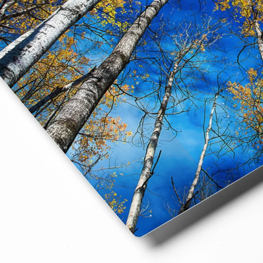glossy-metal-print-(in)-white-16x20-product-details-69d793373ad29.jpg