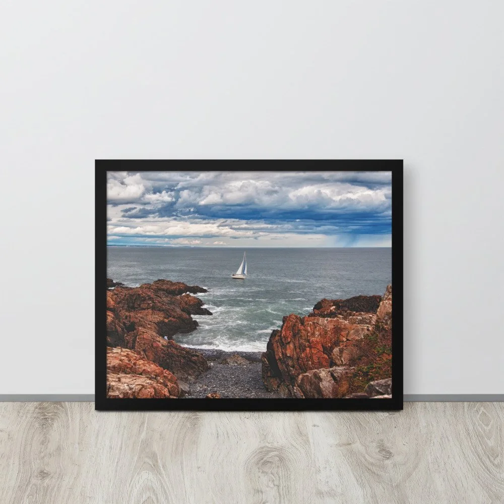 enhanced-matte-paper-framed-poster-(in)-black-16x20-front-6998c9c62d00c.jpg