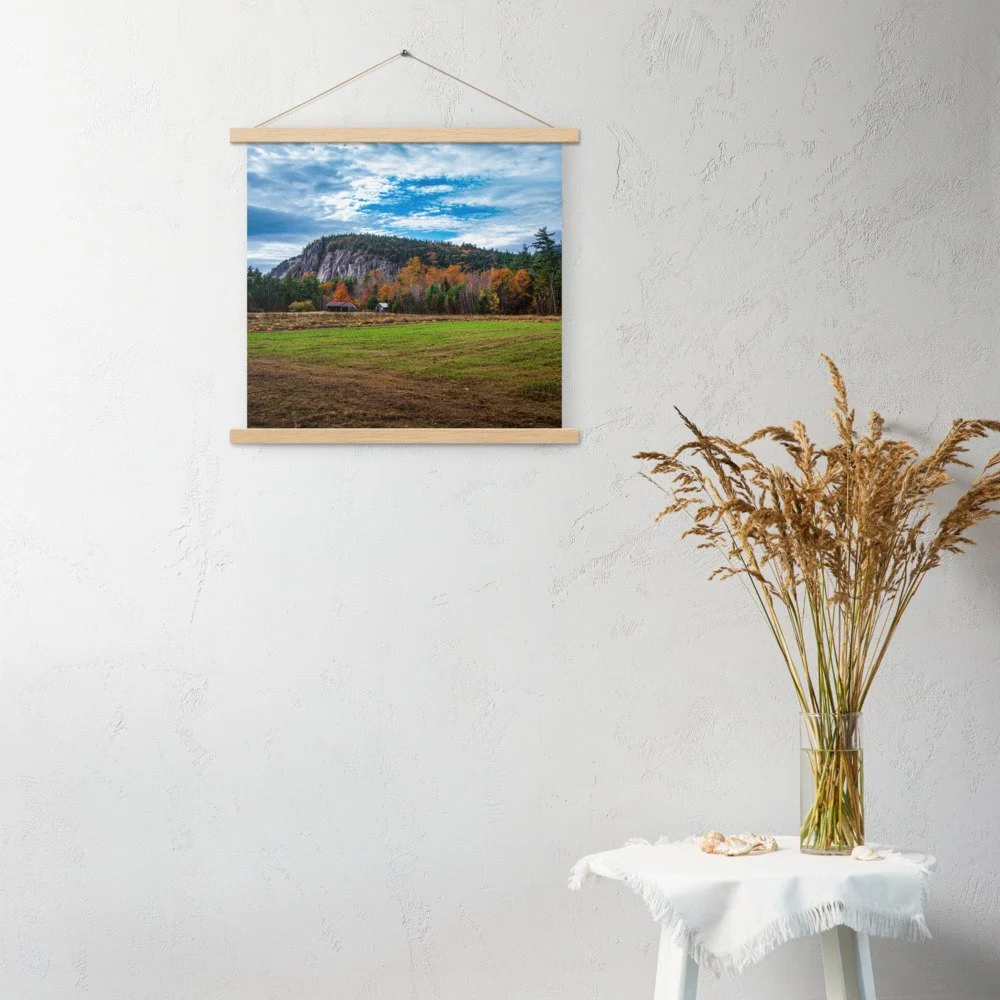 enhanced-matte-paper-poster-with-hanger-(in)-oak-18x18-front-69d51b72d59f9.jpg