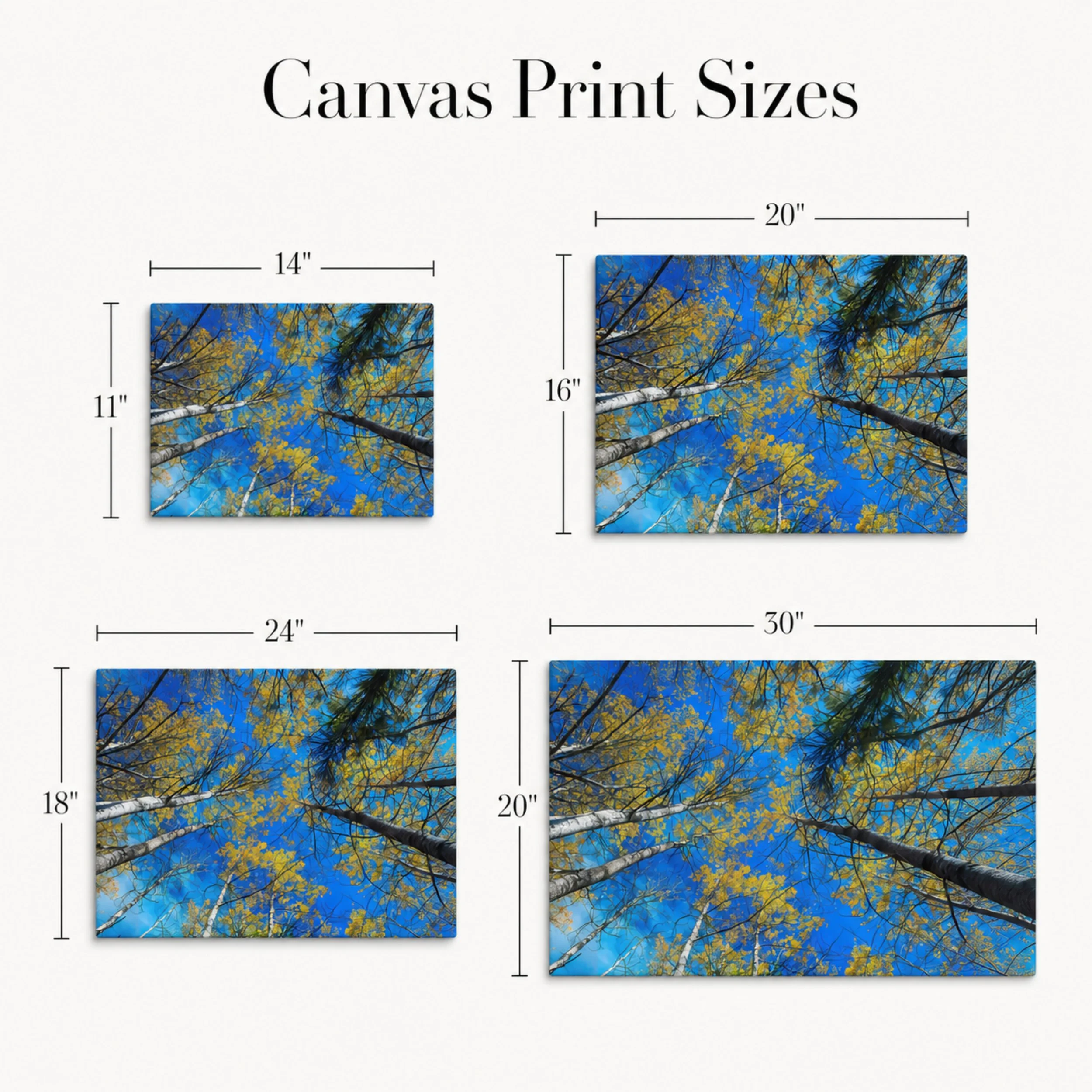 Birches in Autumn - Canvas Landscape Sizes.jpg