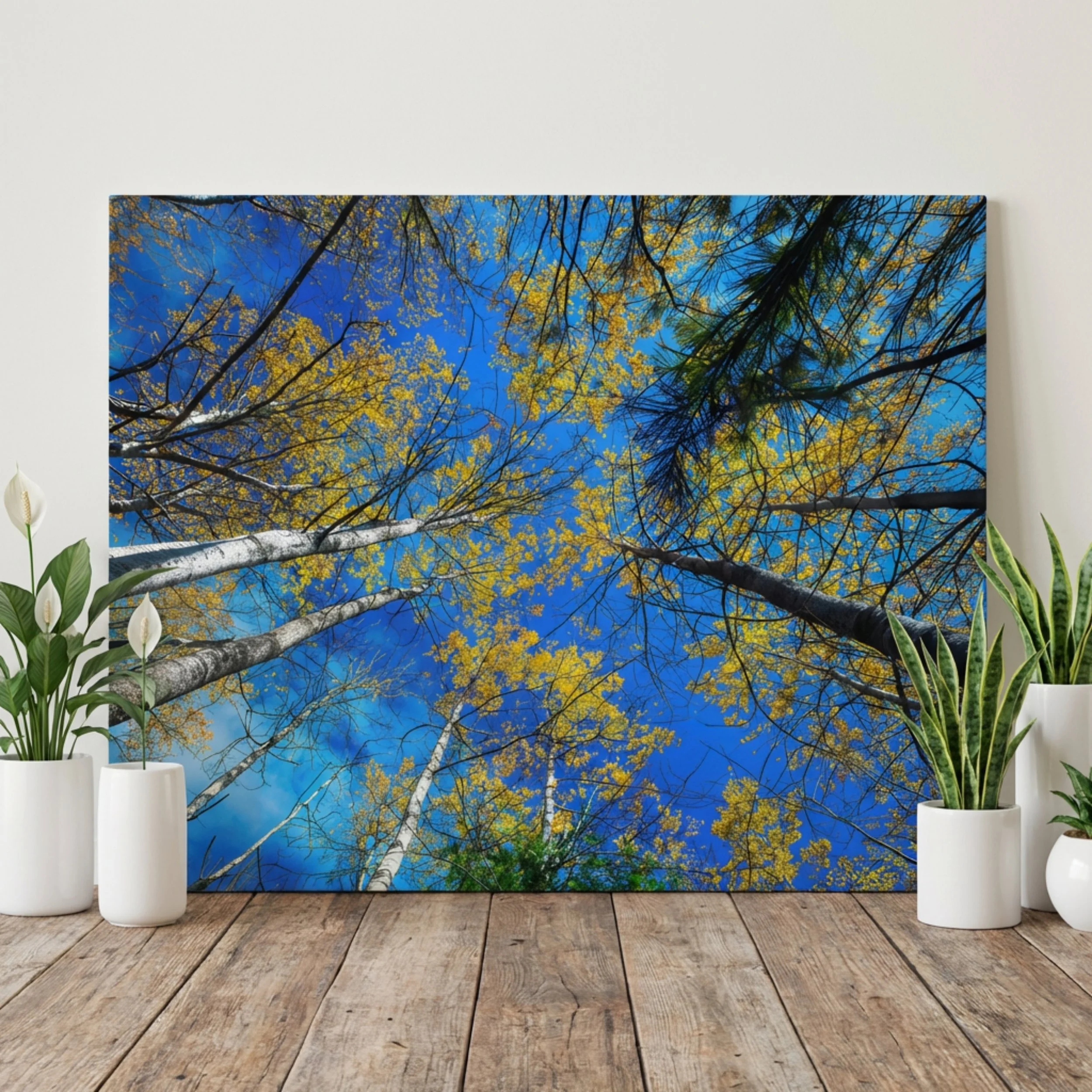 Birches in Autumn - Metal Print - Autumn Forest Print