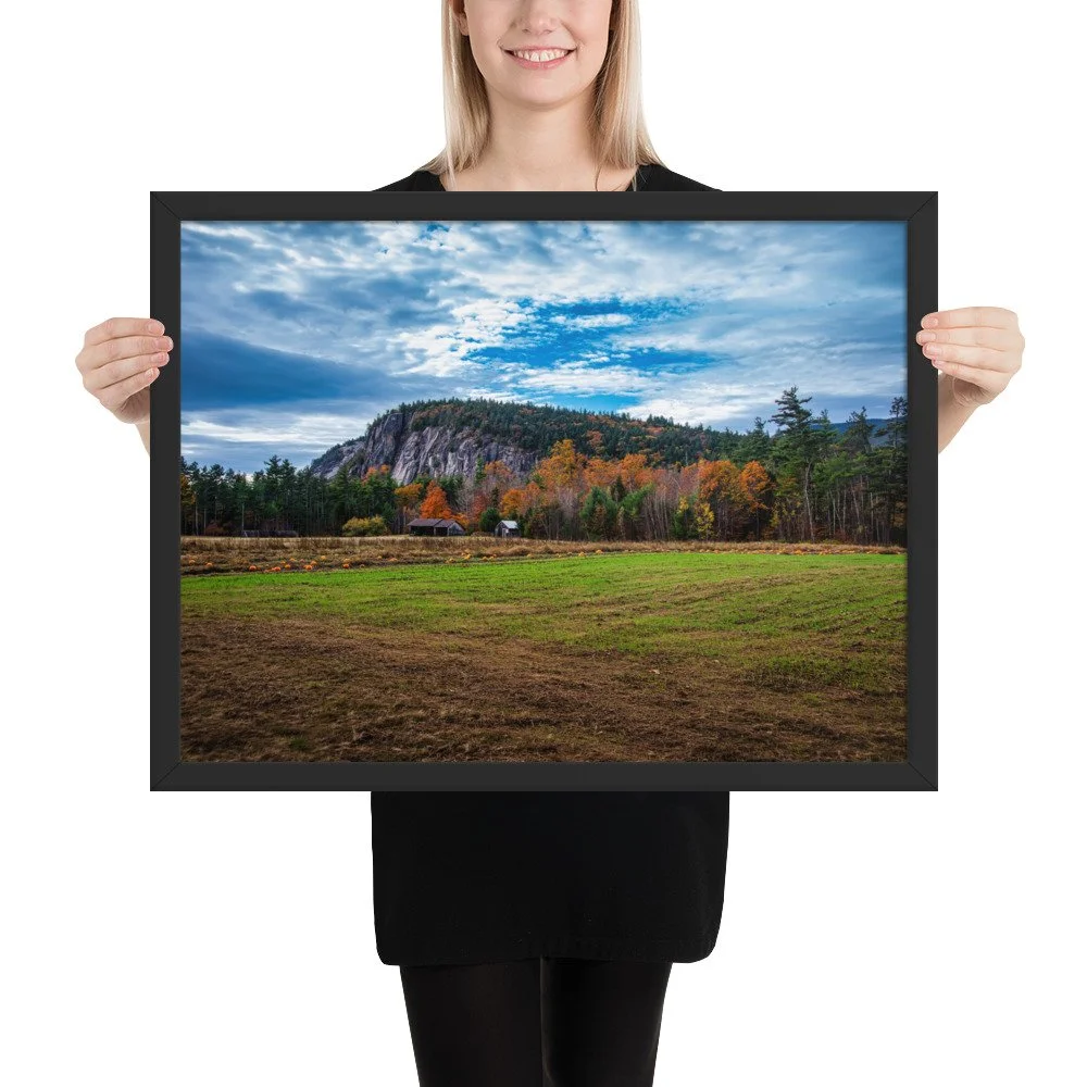 enhanced-matte-paper-framed-poster-(in)-black-18x24-person-69d51bf5946a8.jpg