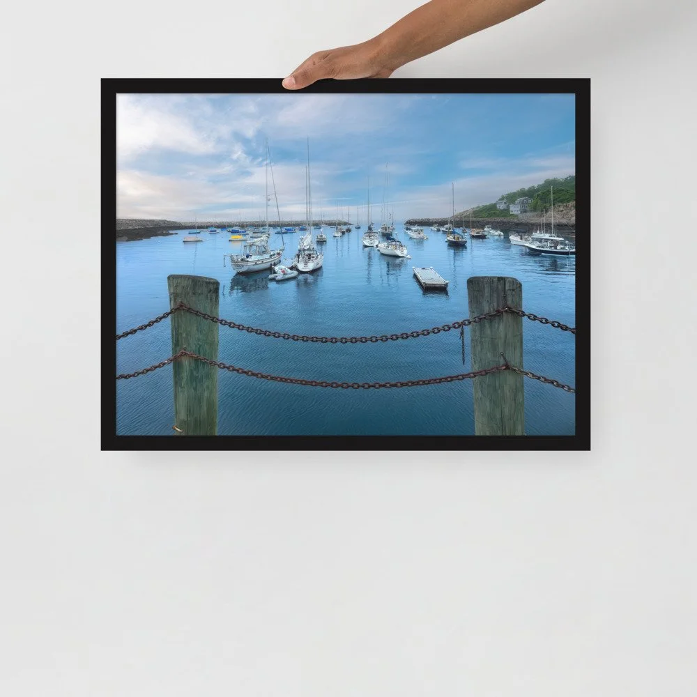 enhanced-matte-paper-framed-poster-(in)-black-18x24-front-69cab0b0c07a7.jpg