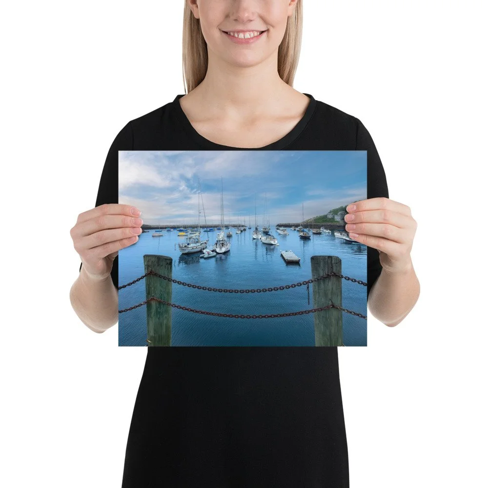 enhanced-matte-paper-poster-(in)-11x14-person-69cab14bd1667.jpg